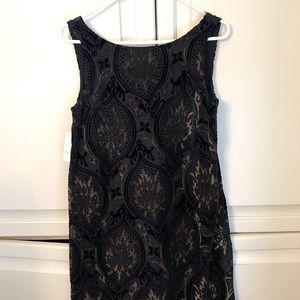 Ann Taylor loft flocked dress